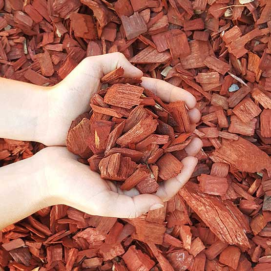 Mulch Wood Chip Red